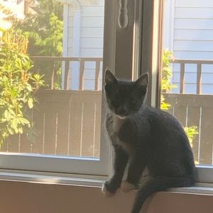 Meet your Posher, Lizzi